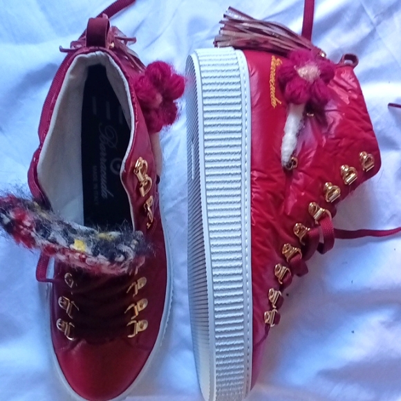 Barracuda Steppers - Picture 4 of 4